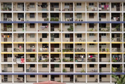 hdb flats weird things koi pond