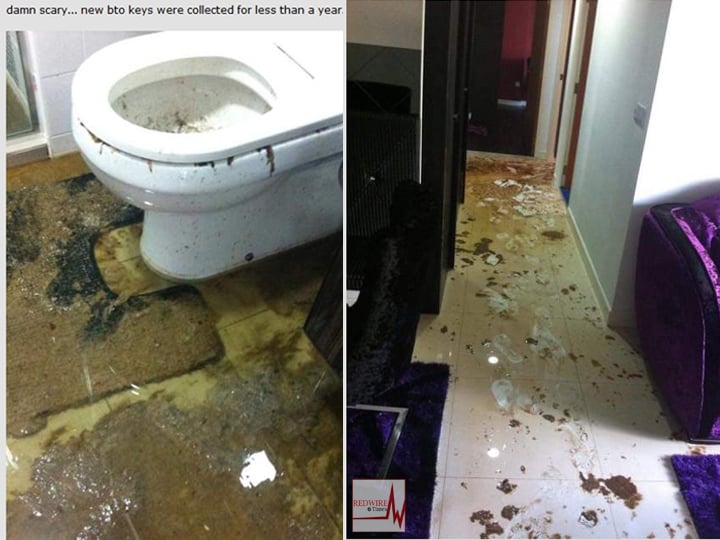 BTO complaints sewage