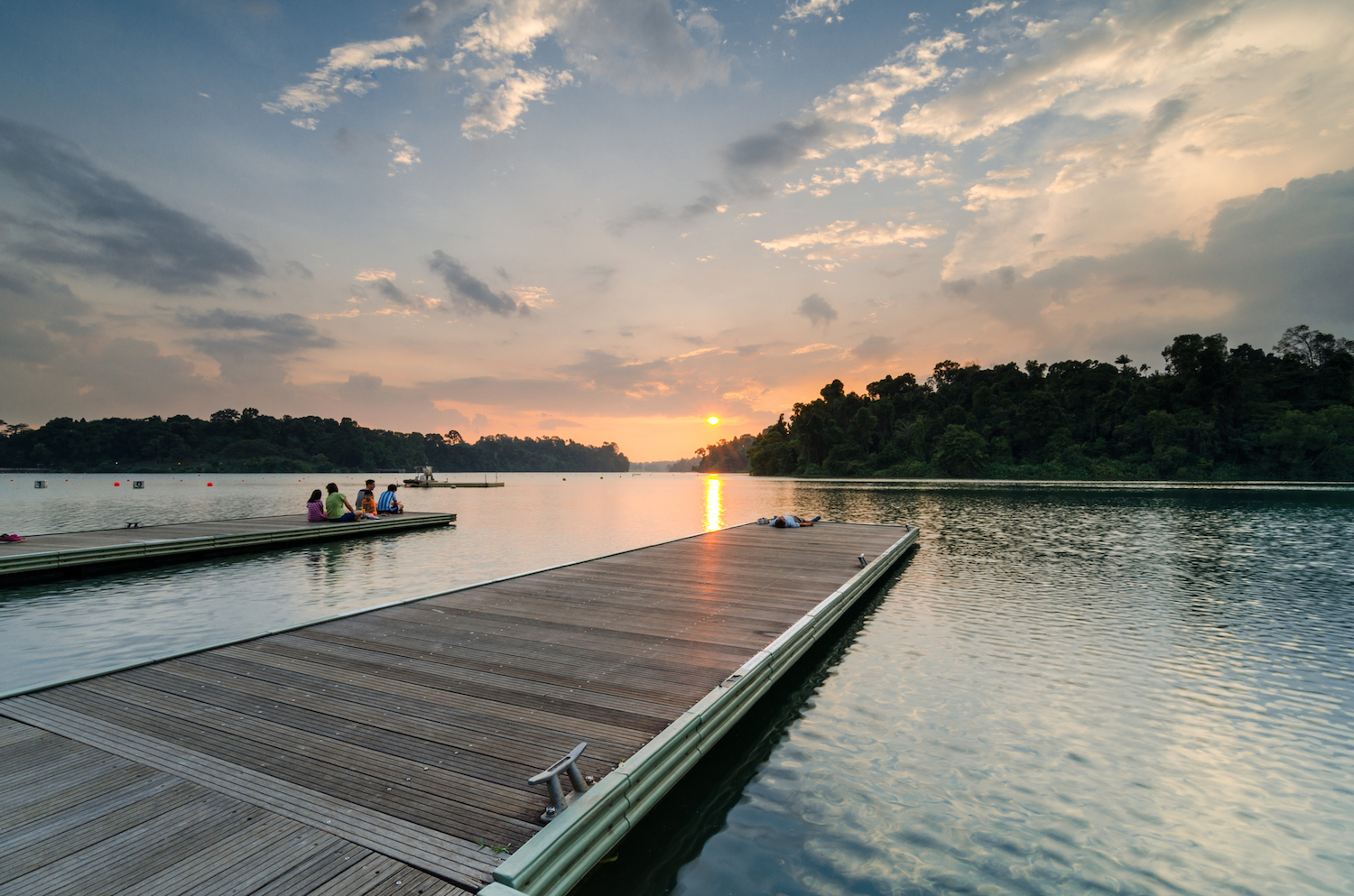 JadeScape offers sweeping views of MacRitchie Reservoir
