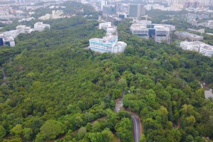 Your home by the park Kent Ridge Hill Residences