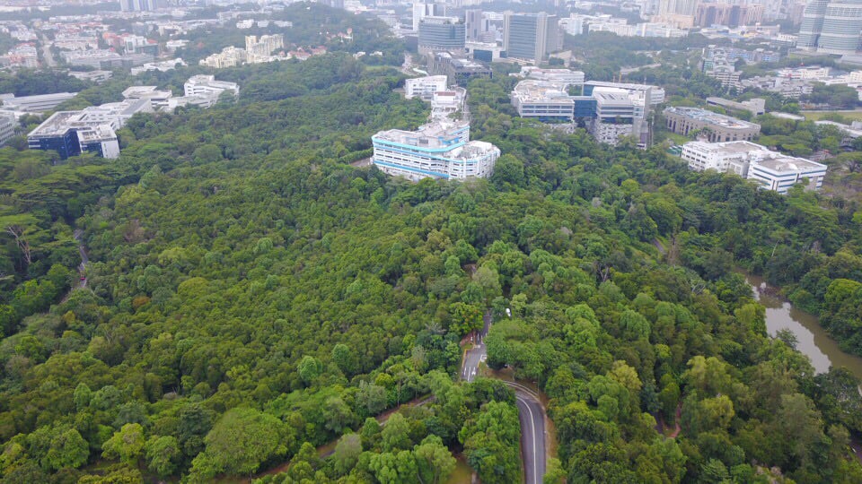 Kent ridge park
