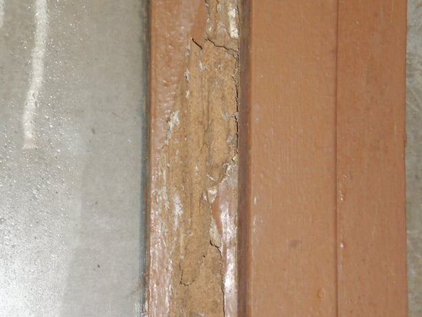 Termite pests damaged doorframe