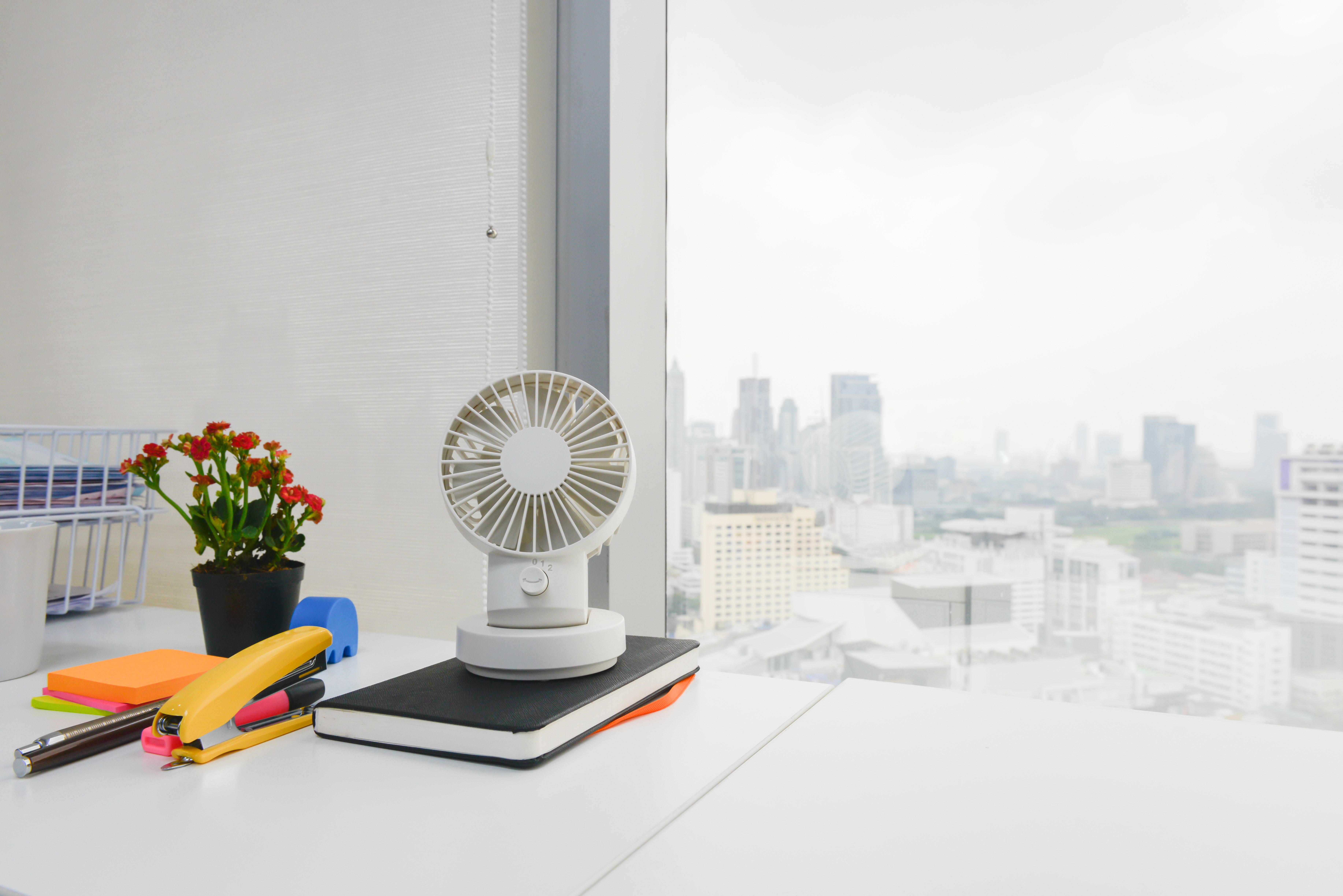 5 Pest Control "Solutions" that Can Make the Problem Worse