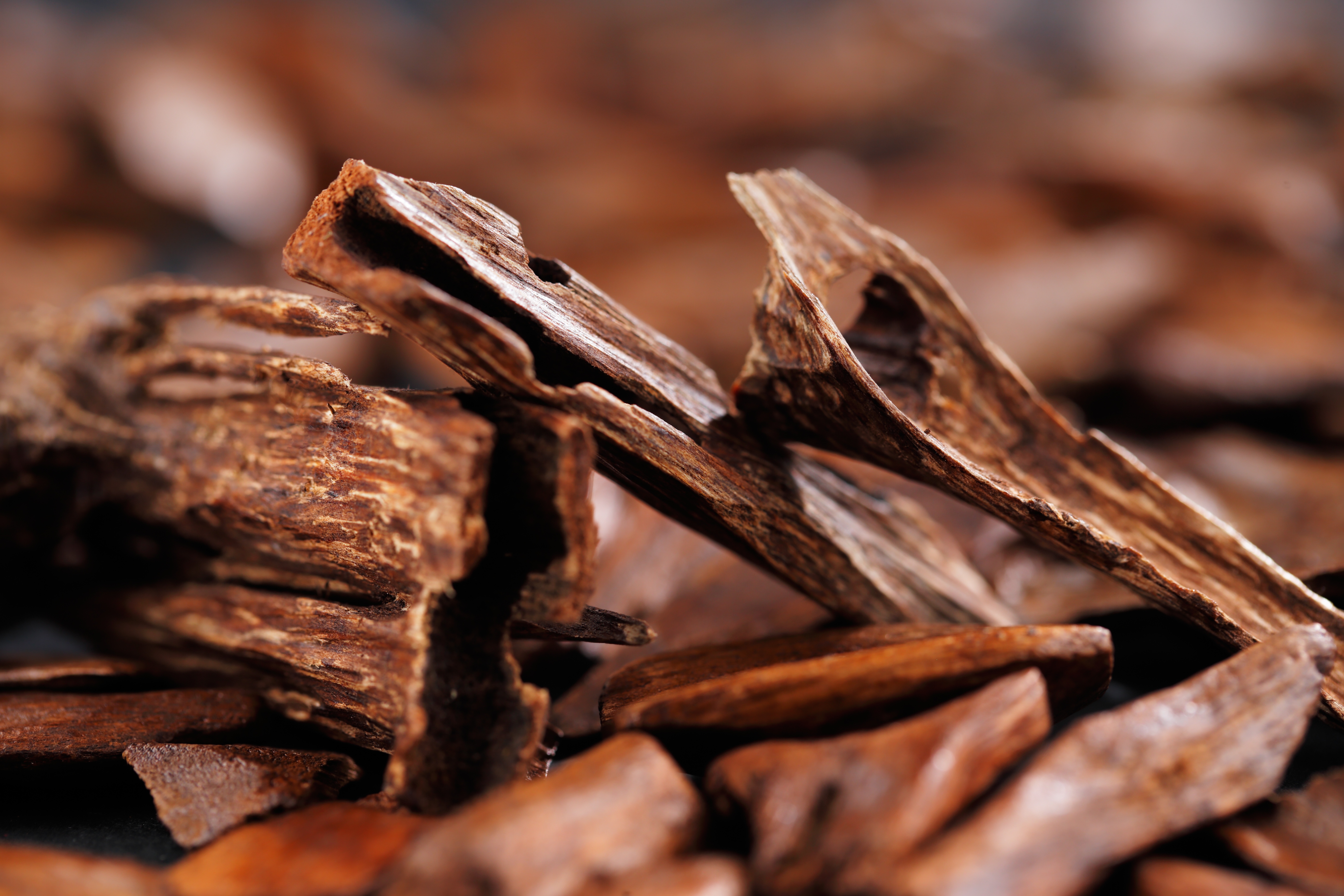 How to Make DIY Natural Air Fresheners at Home | LaptrinhX / News