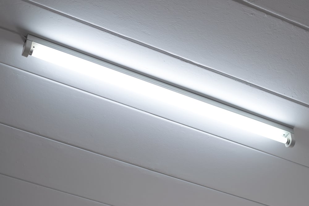fluorescent light