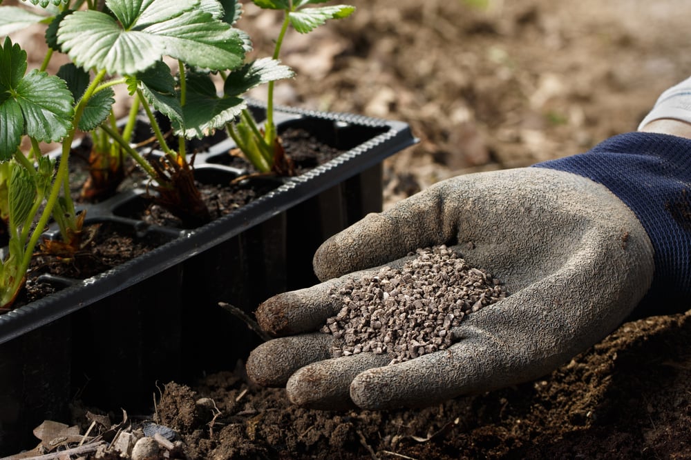 Fertiliser being distributed to a plant.