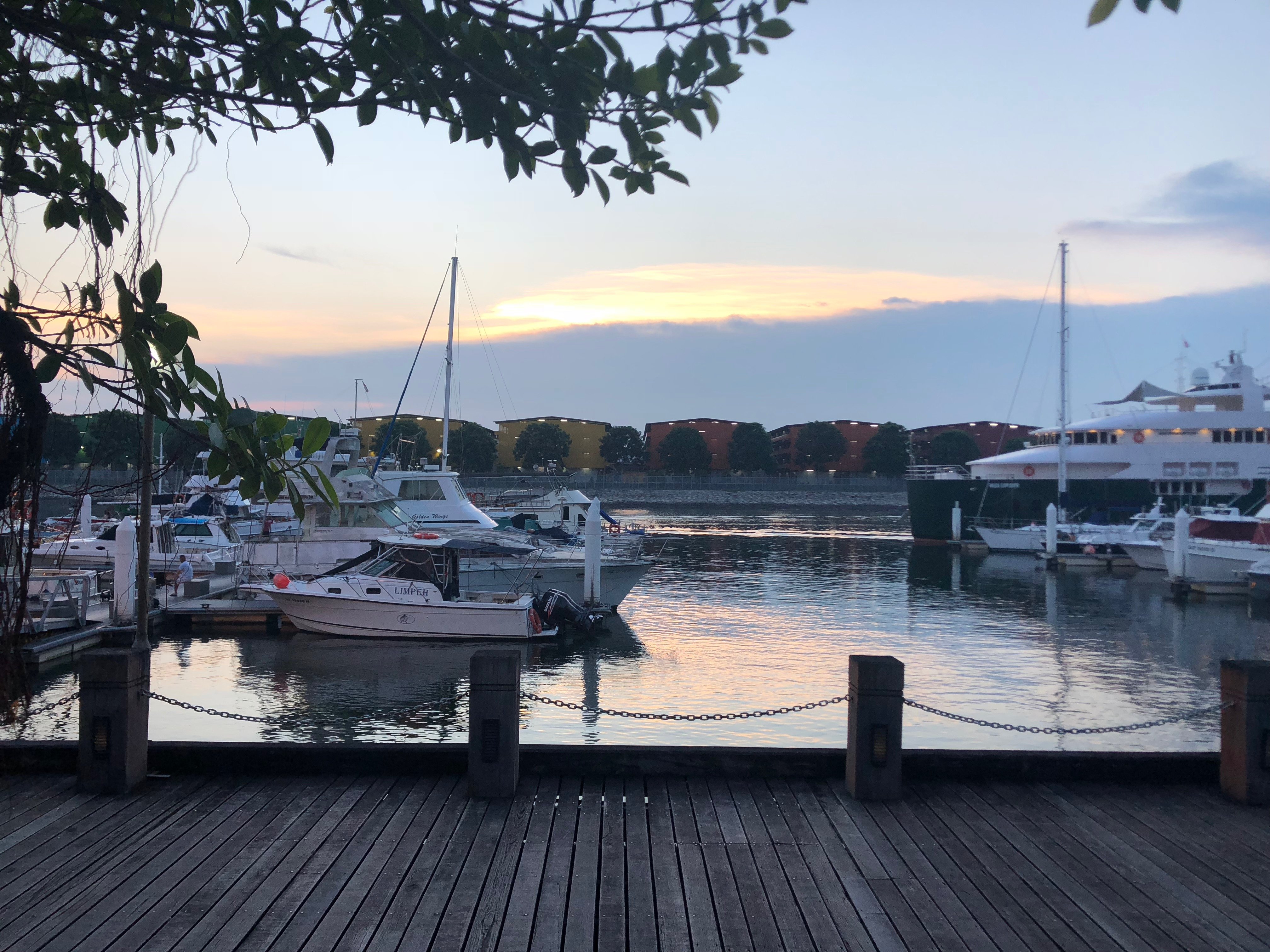 Yachts at Punggol Docks.