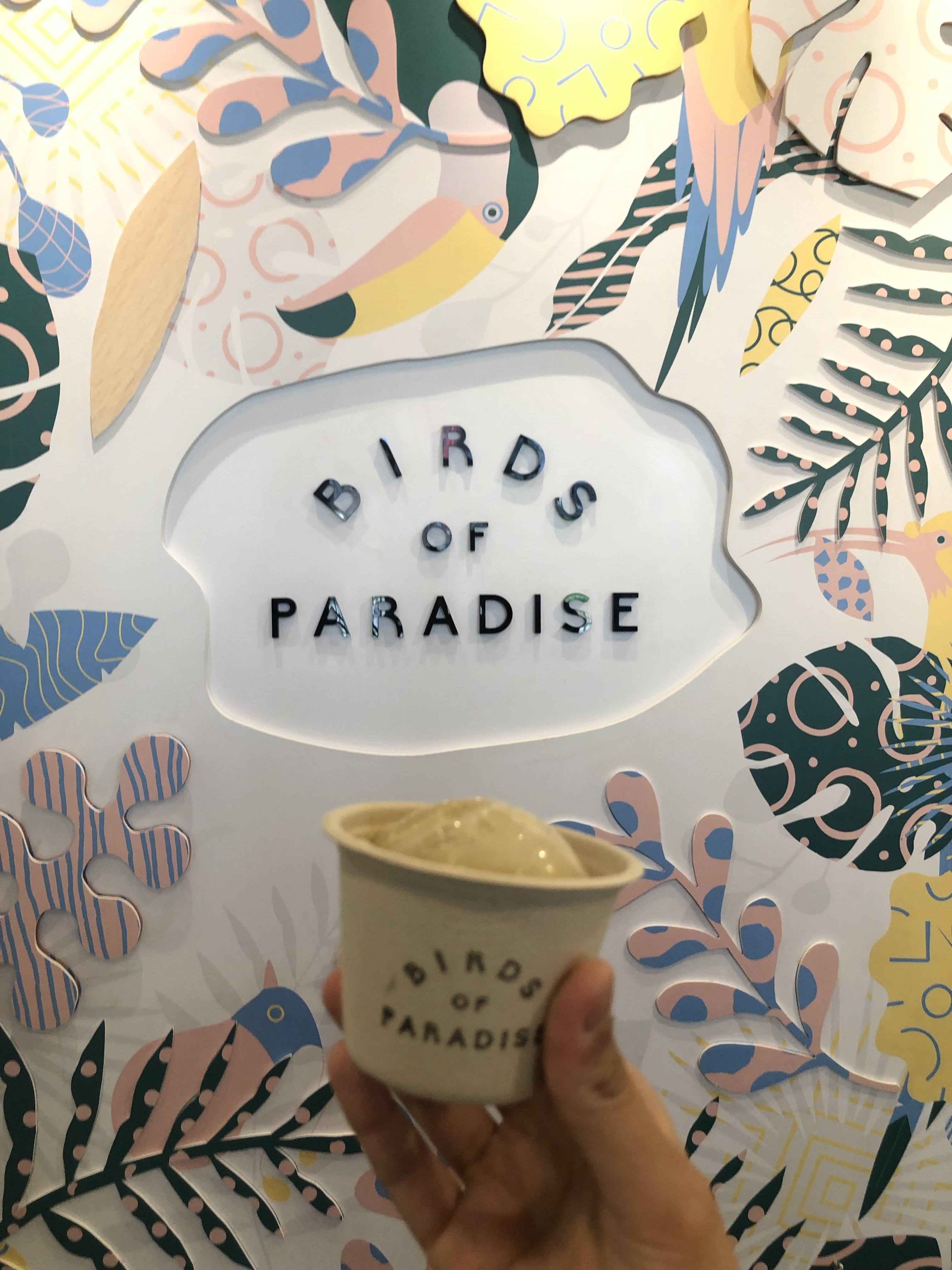 Birds of Paradise