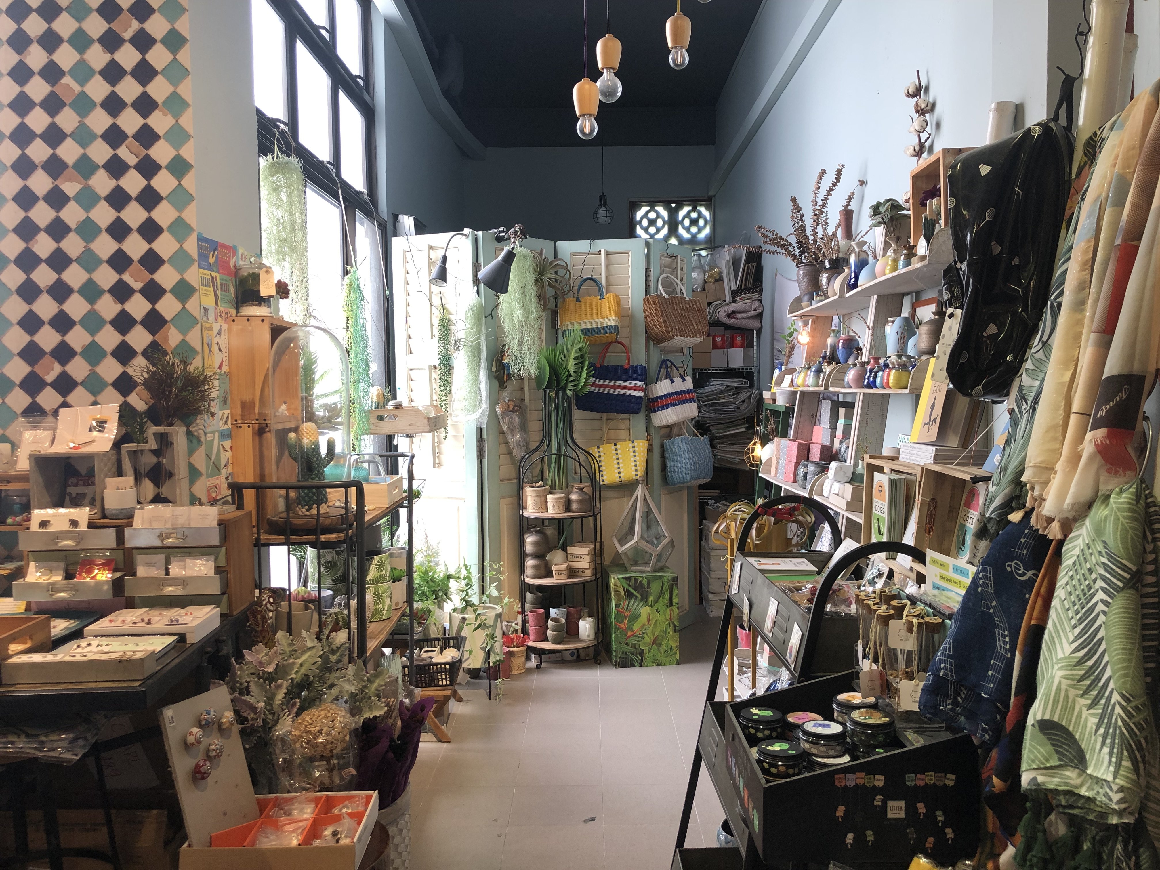 Cat Socrates Joo Chiat