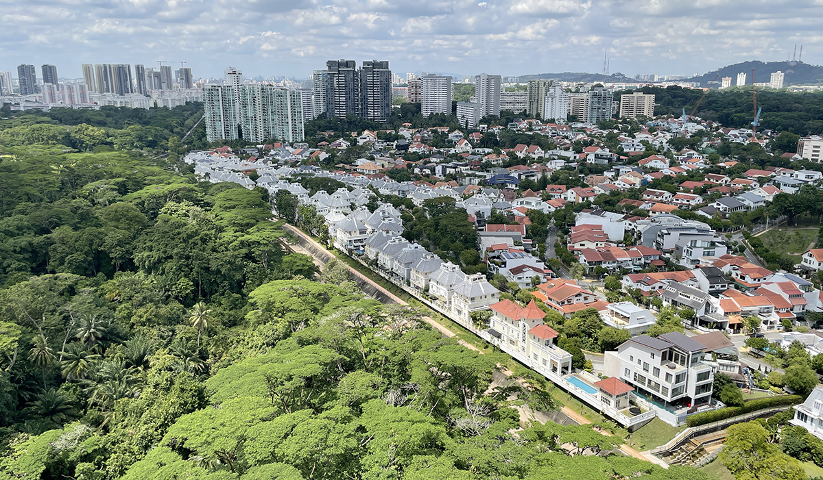 ulu pandan bto 2021 view bukit timah hill