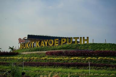 Bukit Kayoe Putih