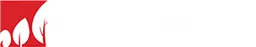 Pakuwon Group