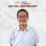 Tris  Gold Property