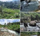Bali view 81
