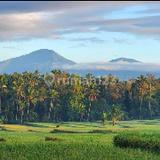  Agung Bagus