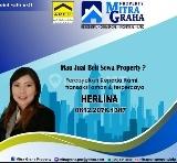 Herlina herlina