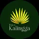 Bhumi Kalingga