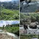 Bali view 81