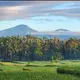  Agung Bagus