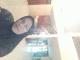 Yati