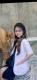 drg. Diana Hendrawati