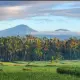  Agung Bagus