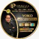 yoko ludisman
