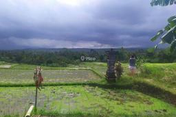 Tanah 1hektar harga super murah 15jt/are view keren