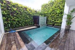 For Sale Brand New Renovated Villa With Ricefield View 