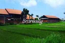 Tanah 9are hrg 900jt/are Super Bagus dan Strategis, GoodView, Kawasan Villa dan Hotel, serta aspek perumahan dan di Jalur Pariwisata