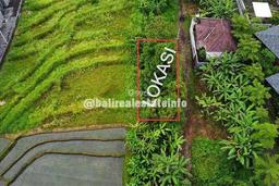 Di Jual Tanah Langka Kecil Area Tumbak Bayuh 
