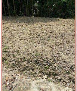 Tanah Kavling Barat Kampus Umy 1 Unit Terakhir Luas 90 M2