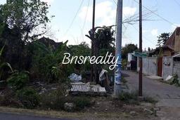 Tanah 4.3are hrg 550jt/are nego cocok vila