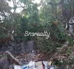 Tanah Murah dan lokasi Bagus di Canggu