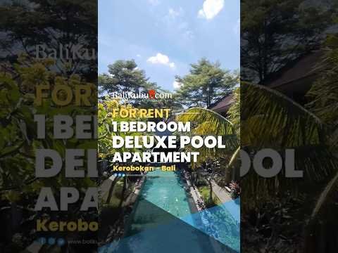AMR-223.SS-SGP | Monthly Rental [New Look] Studio Garden Pool Access Apartment in Kerobokan – Pet Friendly Living Near Seminyak