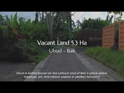 Tanah Premium 5,3 Hektar di Ubud View Alam & Sungai, Cocok Resort / Villa Eksklusif Tanah Premium 5,3 Hektar di Ubud View Alam & Sungai, Cocok Resort / Villa Eksklusif
