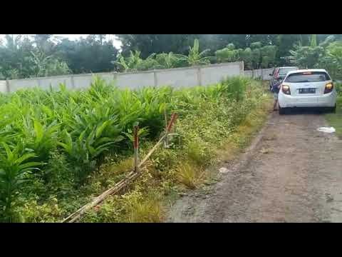Tanah Lokasi Strategis di Tenjo, Luas Tanah 174m², Dekat Jalan Raya Tanah Lokasi Strategis di Tenjo, Luas Tanah 174m², Dekat Jalan Raya