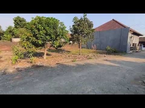TANAH KAPLING MURAH JUAL CEPAT TANAH KAPLING MURAH JUAL CEPAT
