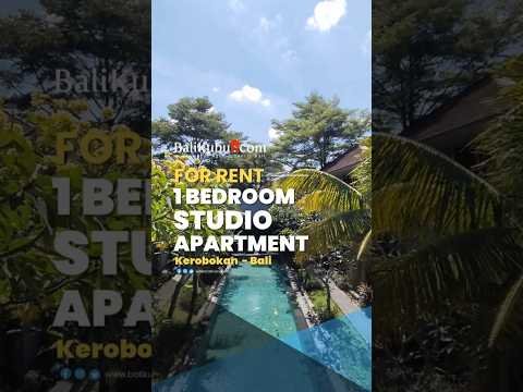 Monthly Rental [New Look] Deluxe Pool Apartment in Kerobokan – Pet Friendly Living Near Seminyak