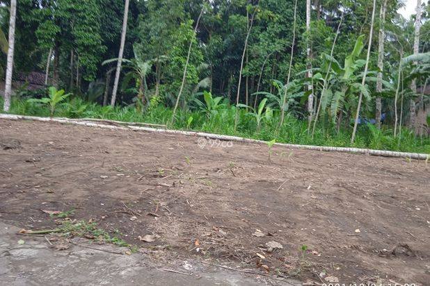 tanah murah sudah fre balik nama pembeli murah edisi terbatas tanah murah sudah fre balik nama pembeli murah edisi terbatas