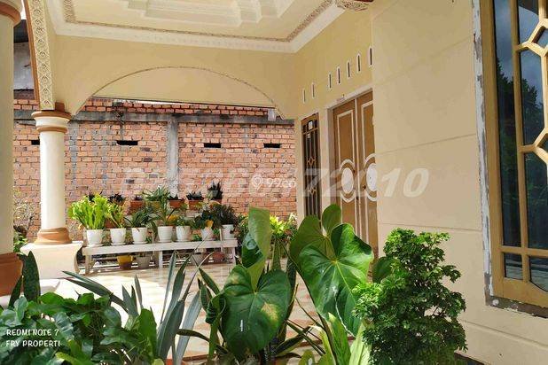 Rumah Siap Huni Luas Tanah 430 m2 Lokasi Bagan Pete Kota Jambi