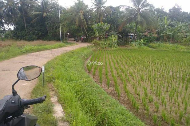 1800m2.SPPT/GIRIK Tanah di Kec Jasinga Bogor Barat