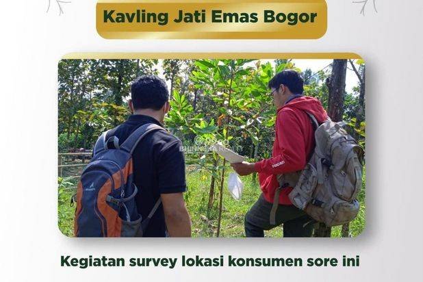 Tanah Murah Kavling Jati Indah Transyogi Bisa Bonus Pohon Jati