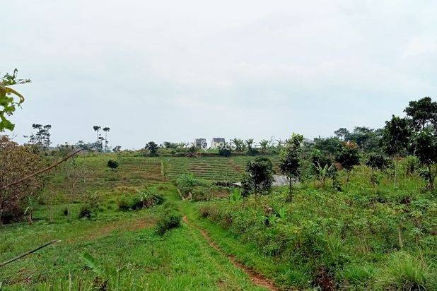 Dijual Cepat Tanah Tanah 5 Hektar Di Cibiru Bandung