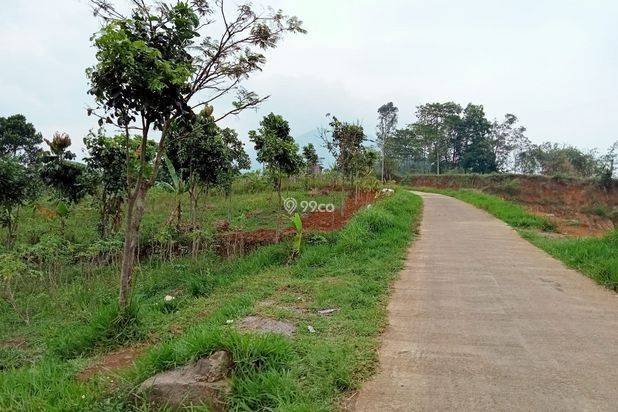 Dijual Cepat Tanah Tanah 5 Hektar Di Cibiru Bandung