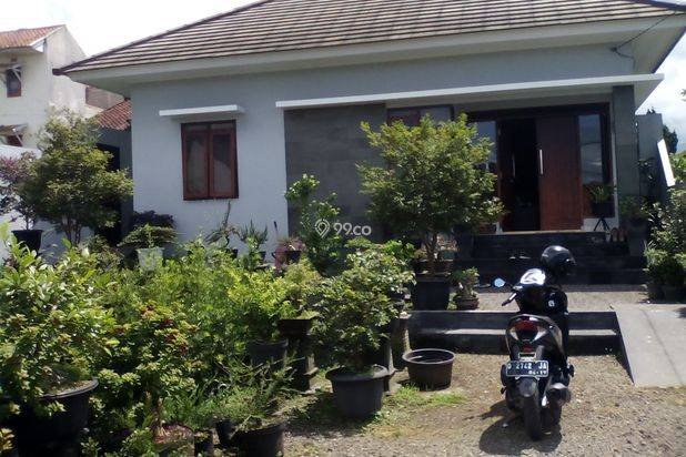 Rumah Baru, Halaman Luas - Harga Nego
