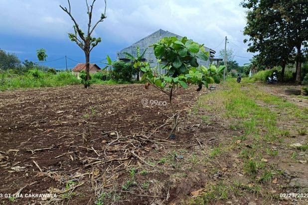 Tanah Siap Bangun di Hajimena, Luas 718M² Surat SHM