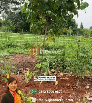 Dijual Tanah Padat Kavling Hankam Cileungsi Bogor