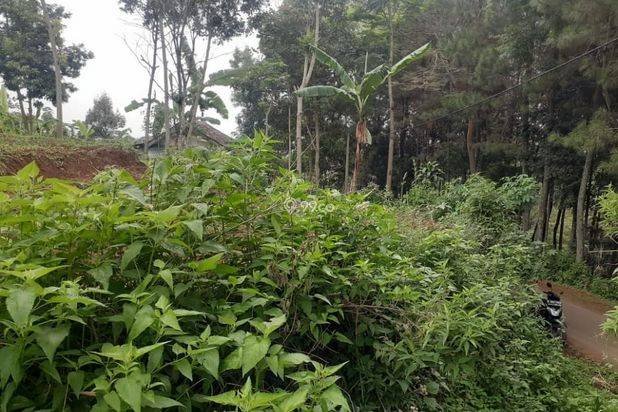 Di Jual Tanah Paku Haji Cimahi Utara
