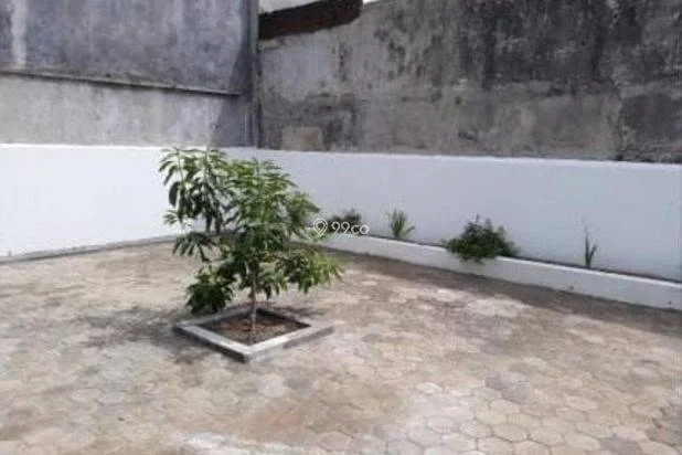 Disewakan Promo Rumah Mess Kantor Gudang Nayu Nusukan